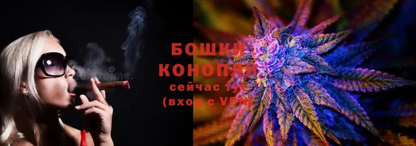 сатива Абаза