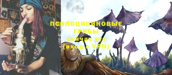 сатива Абаза