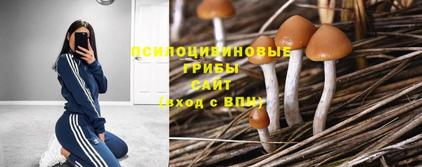 хмурый Абдулино