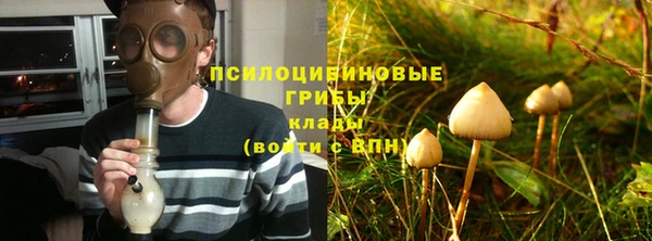 дурь Абинск