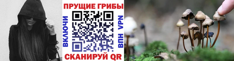 Псилоцибиновые грибы MAGIC MUSHROOMS Донской