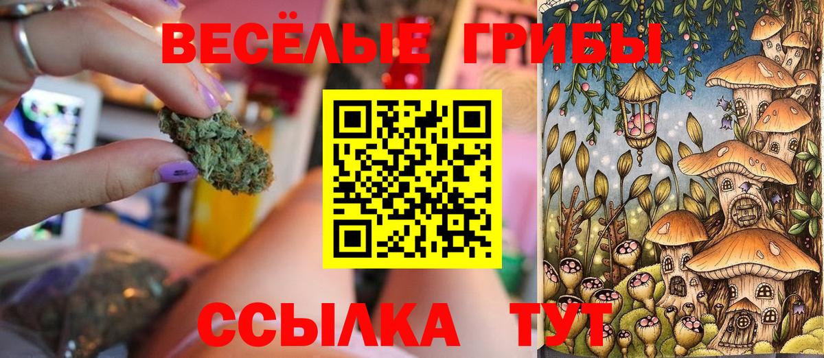 Псилоцибиновые грибы Cubensis  Вход с VPN  Донской 