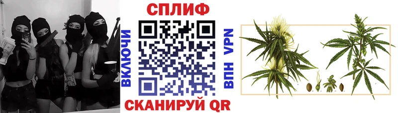 Бошки Шишки сатива omg ссылки Донской